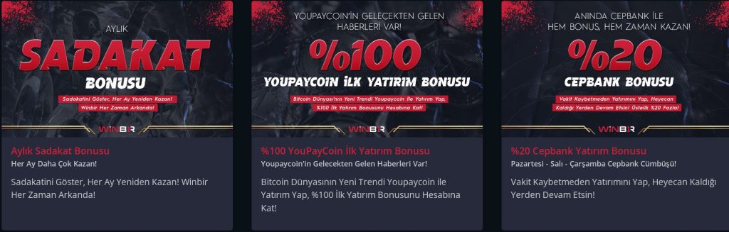 winbir kayıp bonusları